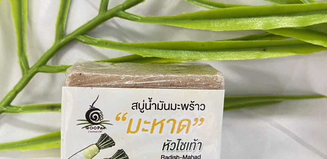 มะหาด3
