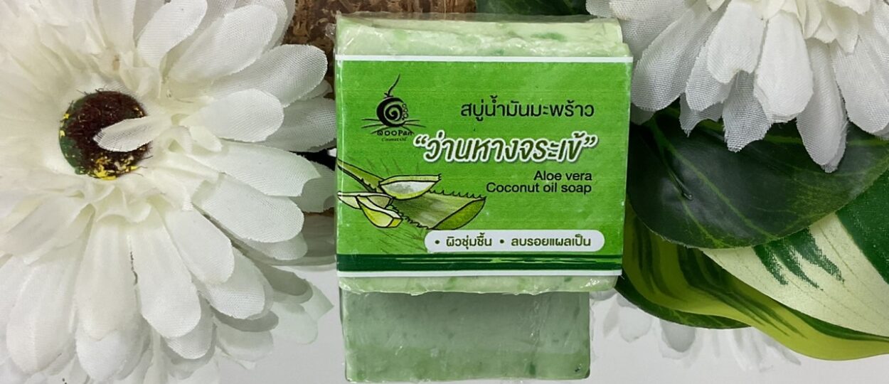 ว่านห่างจระเข้1