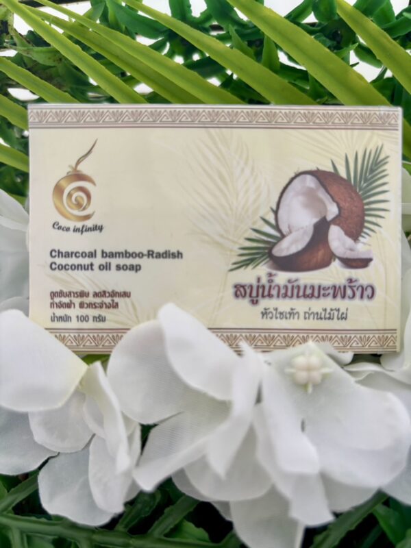 หัวไชเท้า ถ่านไม้3